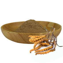 Чистый 30% Cordyceps Sinensis extram